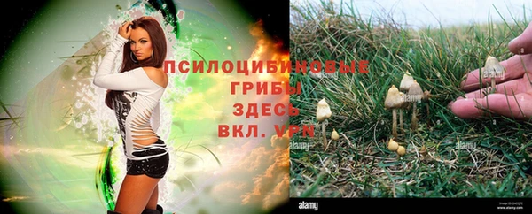 винт Ростов