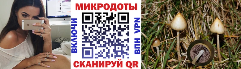 Псилоцибиновые грибы прущие грибы  Ветлуга 